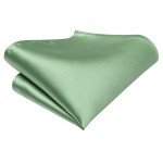 Men's Sage Green Tie and Lapel Pin Set