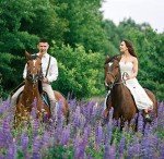 Elastic Y-Back Suspenders for Men and Women