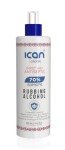 70% Isopropyl Antiseptic Spray 500ml - iCan