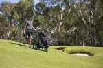 MGI Zip X5 Electric Golf Cart with Accessories