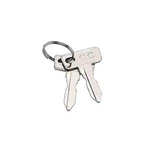 Golf Cart Key Replacement Set (2 Pack)