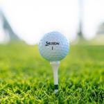 Srixon Q Star Tour 5 White Golf Balls