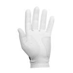 FootJoy Men's WeatherSof Golf Glove 2-Pack