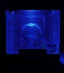 Funko Pop Star Wars Princess Leia GITD