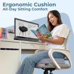 5 Stars United Memory Foam Seat Cushion for Pain Relief