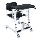 Gasgo 4-in-1 Lift Chair for Elderly & Disabled