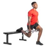 Sunny Health & Fitness Flat Weight Bench - 500 lb Capacity