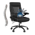 Big and Tall Ergonomic Desk Chair - 500 lbs Capacity