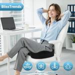 BlissTrends Thick Memory Foam Seat Cushion
