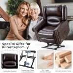 Dual Motor Power Lift Recliner Chair with Massage