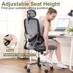 Ergonomic Mesh Office Chair with Lumbar Support