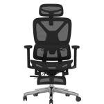 FLEXISPOT Ergonomic Lift Chair with Footrest