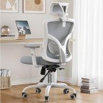 Ergonomic Lift Chair with Adjustable Lumbar Support