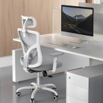 Ergonomic Lift Chair with Adjustable Lumbar Support