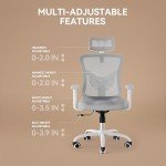 Ergonomic Lift Chair with Adjustable Lumbar Support