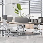 Ergonomic Mid-Back Lift Chair with Lumbar Support