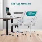 Ergonomic Mid-Back Lift Chair with Lumbar Support