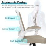 FelixKing Ergonomic Mesh Desk Chair with Lumbar Support