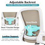 FelixKing Ergonomic Mesh Desk Chair with Lumbar Support