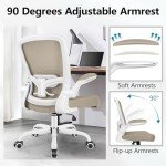 FelixKing Ergonomic Mesh Desk Chair with Lumbar Support