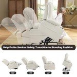Compact Power Lift Chair with Massage & Heat