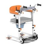Foscomax 5-in-1 Adjustable Lift Chair for Home