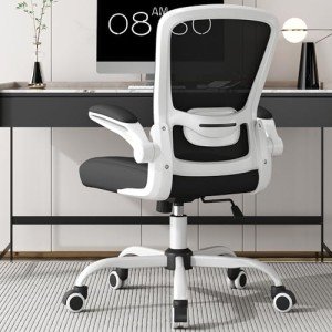 Ergonomic High Back Lift Chair with Lumbar Support