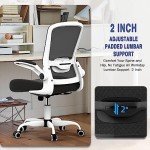 Ergonomic High Back Lift Chair with Lumbar Support