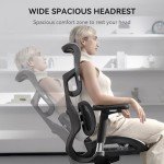 SIHOO Doro S100 Ergonomic Lift Chair - Black