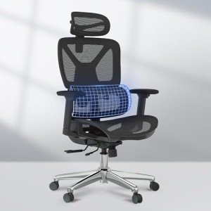 FLEXISPOT Ergonomic Office Chair with 3D Armrests