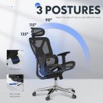 FLEXISPOT Ergonomic Office Chair with 3D Armrests