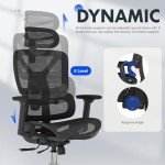 FLEXISPOT Ergonomic Office Chair with 3D Armrests