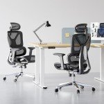 FLEXISPOT Ergonomic Office Chair with 3D Armrests