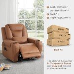 Electric Lift Recliner Chair with Massage & Heat