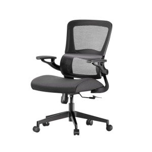 Ergonomic High-Back Lift Chair with Lumbar Support