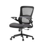 Ergonomic High-Back Lift Chair with Lumbar Support
