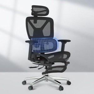 FLEXISPOT Ergonomic Lift Chair with Footrest