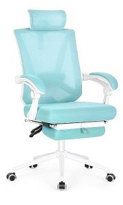 Ergonomic Lift Chair with Adjustable Footrest and Lumbar Support