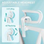 Ergonomic Lift Chair with Adjustable Footrest and Lumbar Support