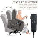Dual Motor Lay Flat Lift Recliner Chair