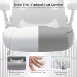 Heavy Duty Big & Tall Ergonomic Office Chair