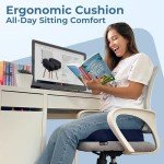 5 Stars United Pain Relief Seat Cushion