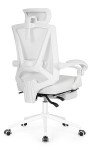 Misolant Ergonomic Lift Chair with Footrest and Lumbar Support
