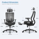 OdinErgo Adjustable Lift Chair with Lumbar Support