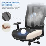 OdinErgo Adjustable Lift Chair with Lumbar Support