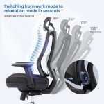 OdinErgo Adjustable Lift Chair with Lumbar Support