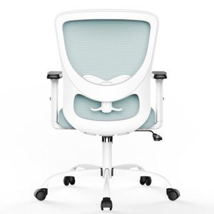 Vansalute Ergonomic Lift Chair with Adjustable Back
