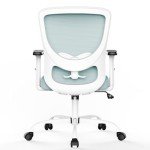 Vansalute Ergonomic Lift Chair with Adjustable Back
