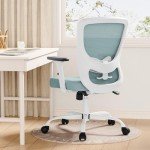 Vansalute Ergonomic Lift Chair with Adjustable Back