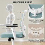Vansalute Ergonomic Lift Chair with Adjustable Back
